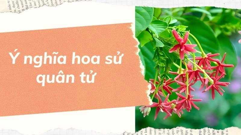 Biểu tượng người quân tử kiên cường, chính trực